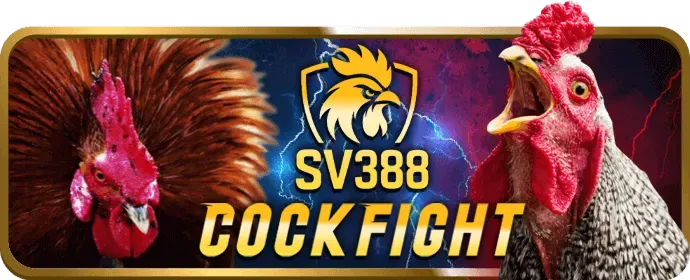 mm88b nổ hũ Quy định và Luật pháp